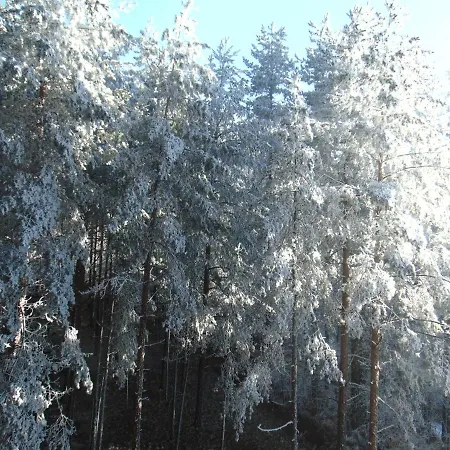 S33 Pekovic * زلاتيبور