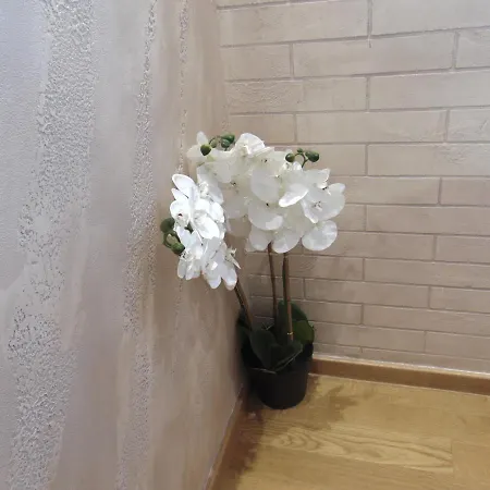 公寓 S33 Pekovic *