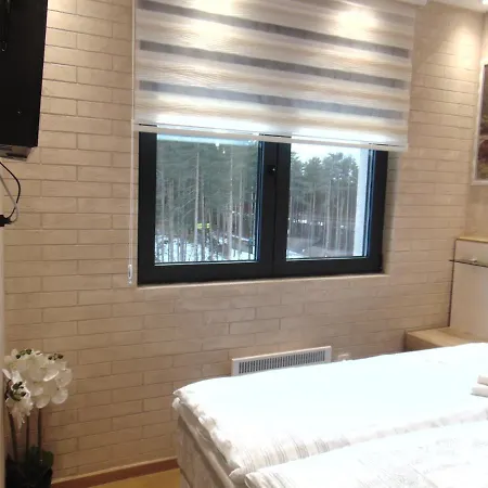 S33 Pekovic 公寓 *