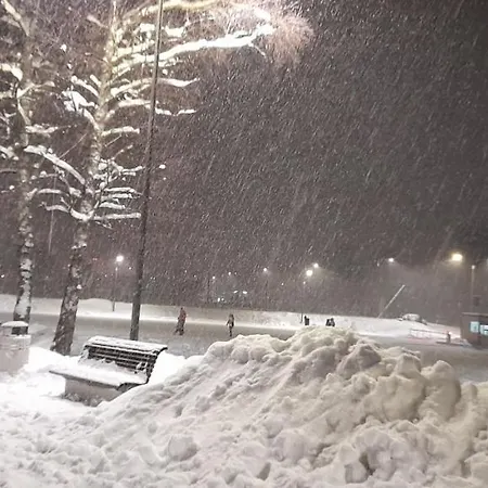 S33 Pekovic 公寓 兹拉蒂博尔