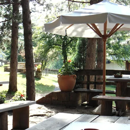 S33 Pekovic Apartment Zlatibor