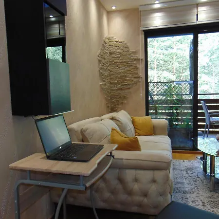 公寓 S33 Pekovic 兹拉蒂博尔