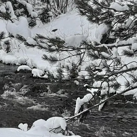 公寓 S33 Pekovic 兹拉蒂博尔