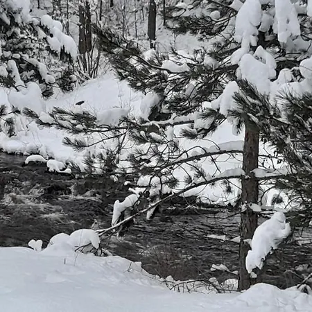 公寓 S33 Pekovic 兹拉蒂博尔