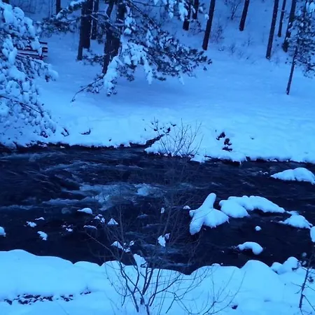 S33 Pekovic * 兹拉蒂博尔