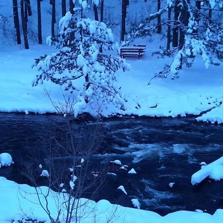 S33 Pekovic 兹拉蒂博尔