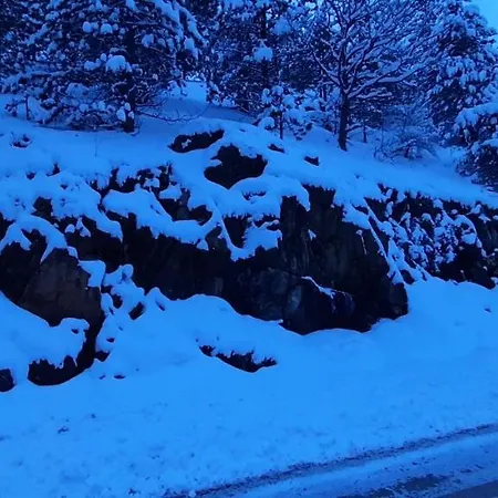 S33 Pekovic 公寓 *