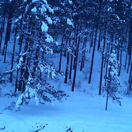 S33 Pekovic 兹拉蒂博尔