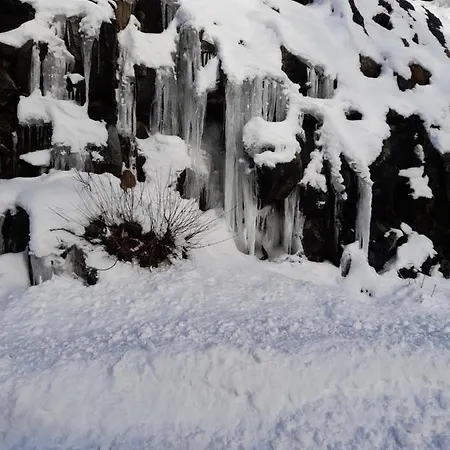 公寓 S33 Pekovic 兹拉蒂博尔