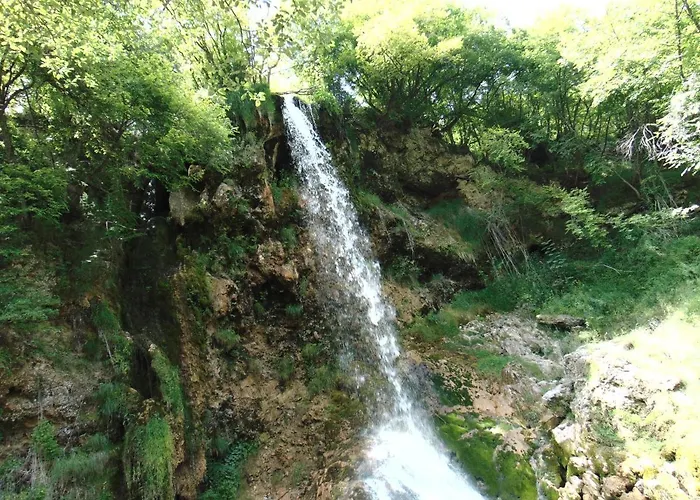 S33 Pekovic Zlatibor