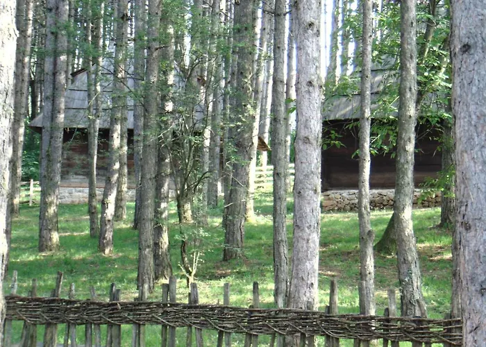 Apartment S33 Pekovic