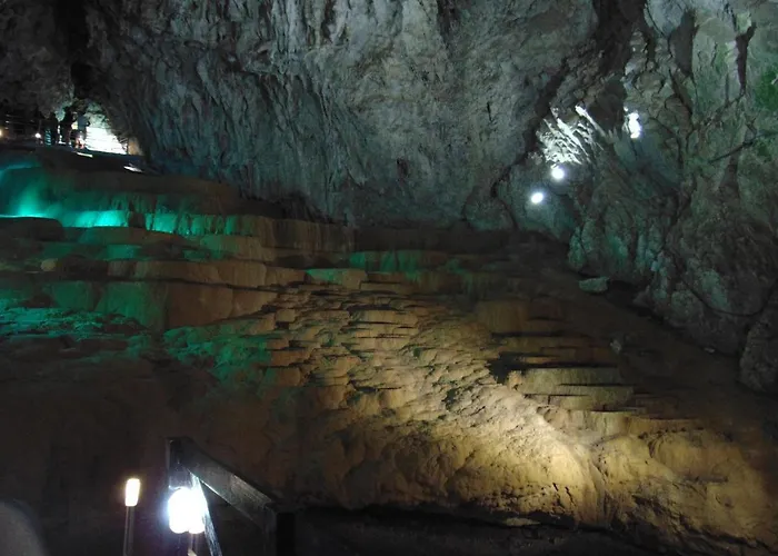 S33 Pekovic Daire Zlatibor