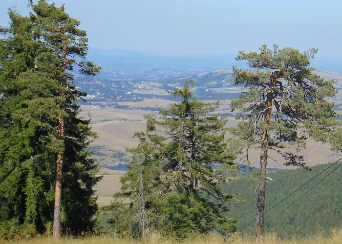 S33 Pekovic * Zlatibor