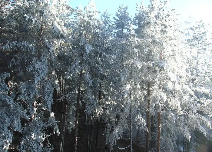 S33 Pekovic * Zlatibor