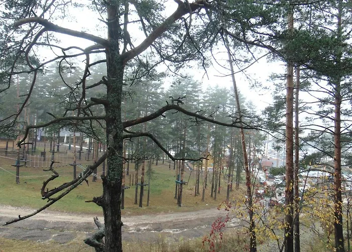 S33 Pekovic Apartment Zlatibor