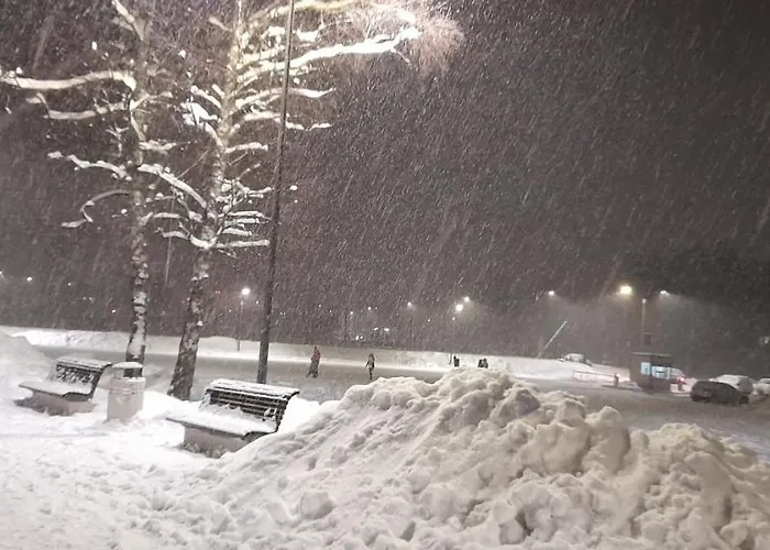 S33 Pekovic Daire Zlatibor