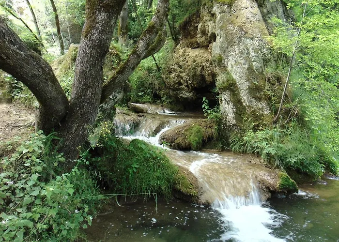 S33 Pekovic Daire Zlatibor