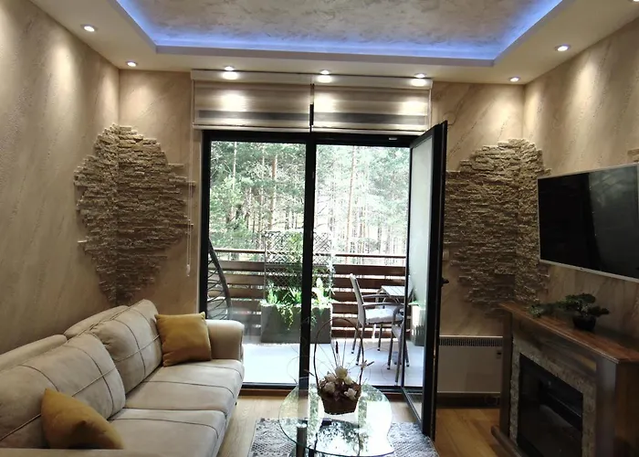 Apartment S33 Pekovic