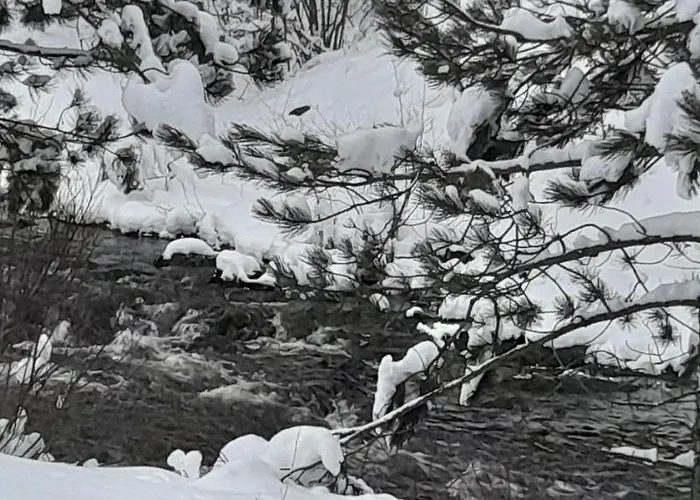 Apartment S33 Pekovic Zlatibor