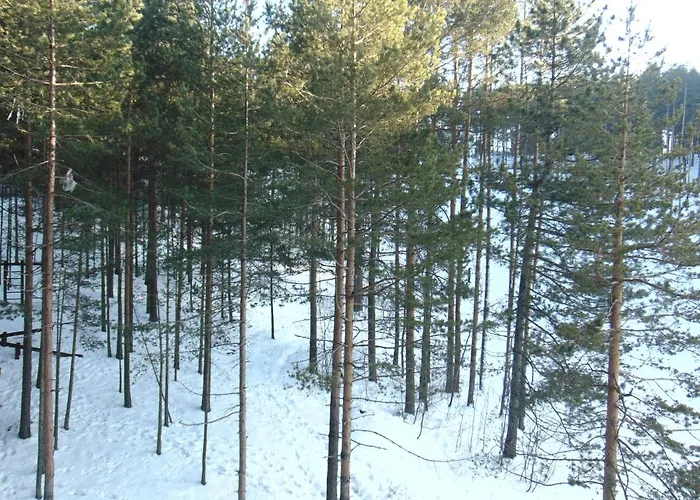 Apartment S33 Pekovic