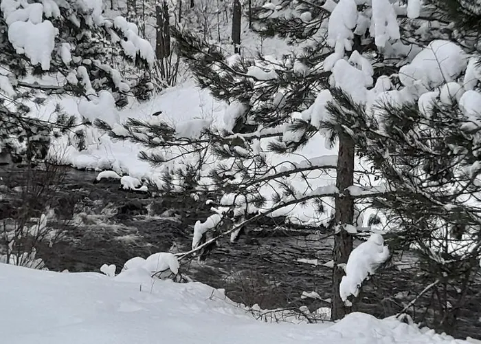 Apartment S33 Pekovic Zlatibor