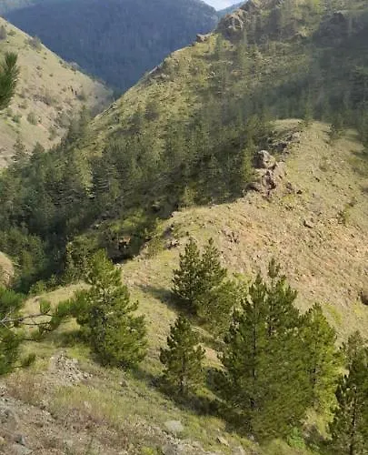 S33 Pekovic Apartment