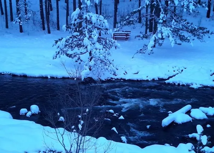 S33 Pekovic Zlatibor