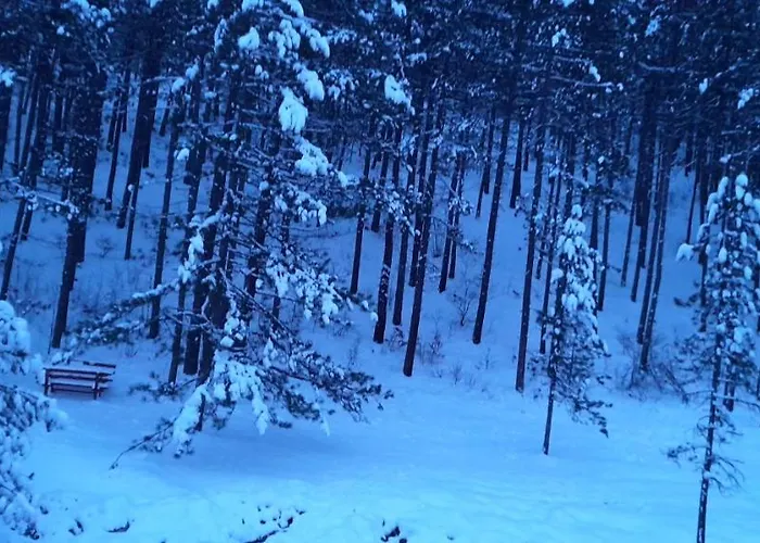 S33 Pekovic Zlatibor